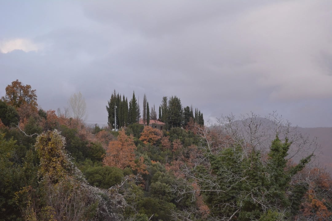 Φωτογραφία 12