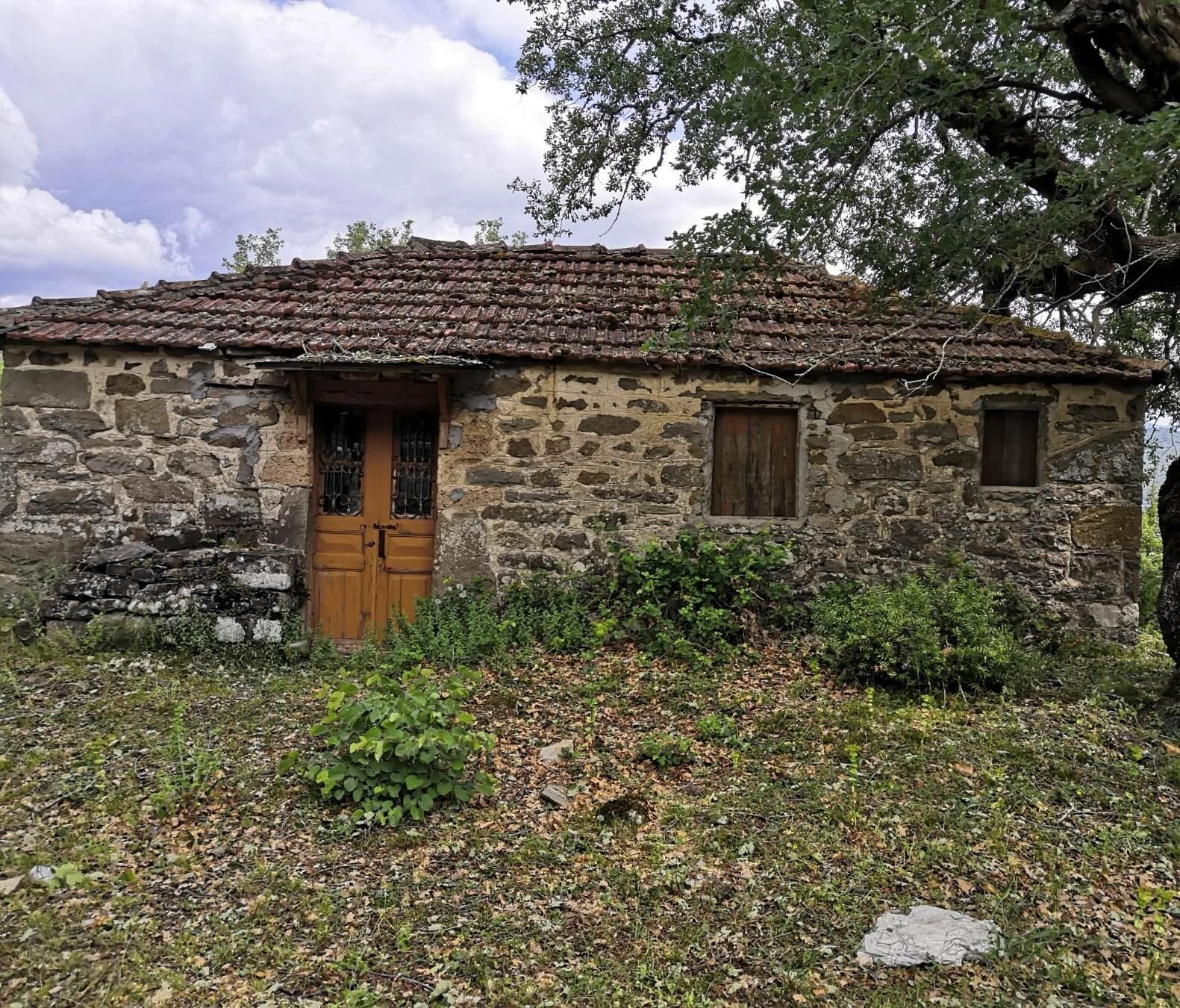 Φωτογραφία 15