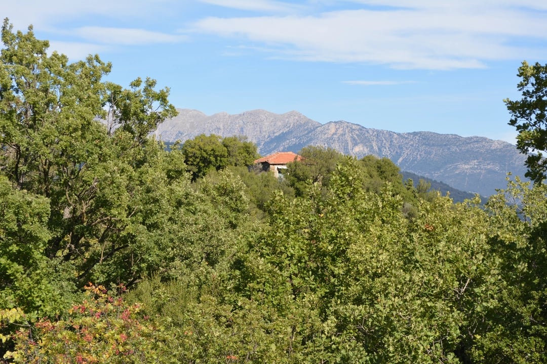 Φωτογραφία 17