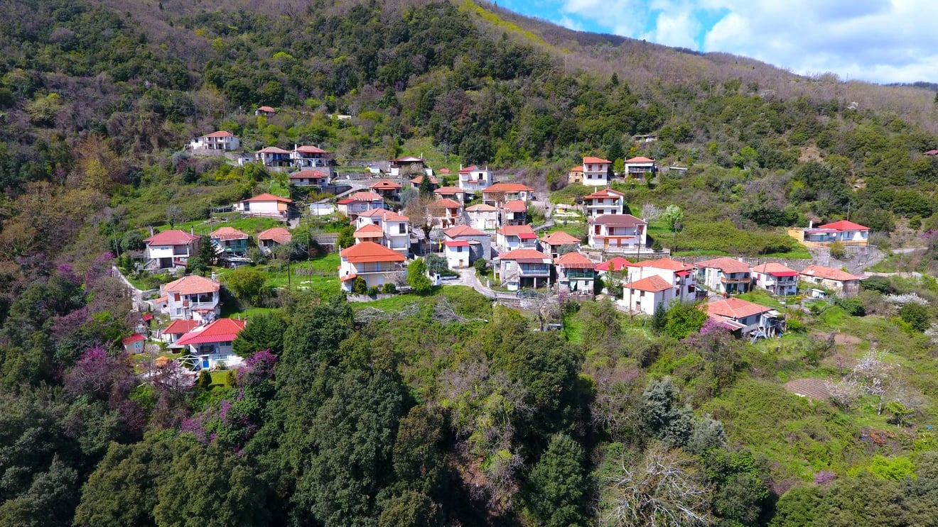 Φωτογραφία 3