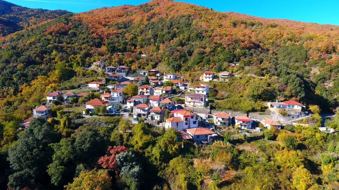 Φωτογραφία 7